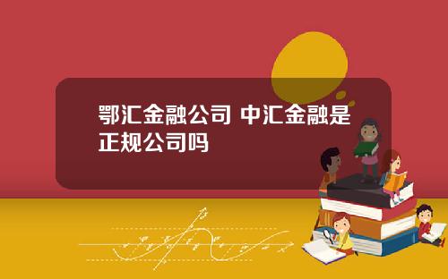 鄂汇金融公司 中汇金融是正规公司吗