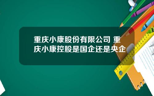 重庆小康股份有限公司 重庆小康控股是国企还是央企