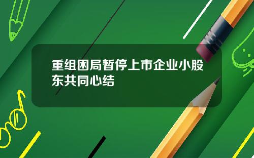 重组困局暂停上市企业小股东共同心结