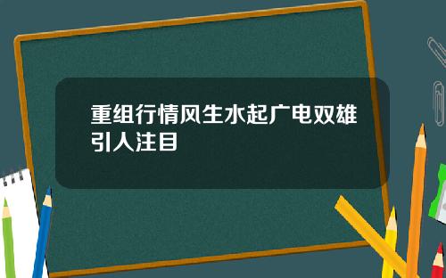 重组行情风生水起广电双雄引人注目