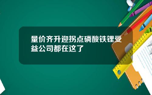 量价齐升迎拐点磷酸铁锂受益公司都在这了