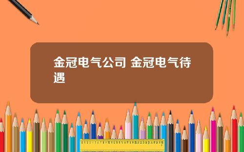 金冠电气公司 金冠电气待遇
