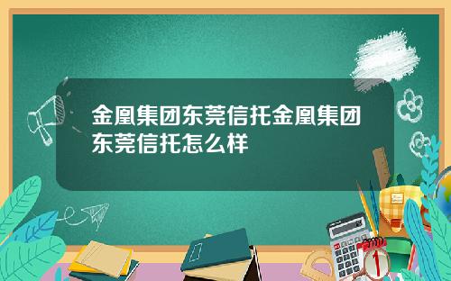金凰集团东莞信托金凰集团东莞信托怎么样