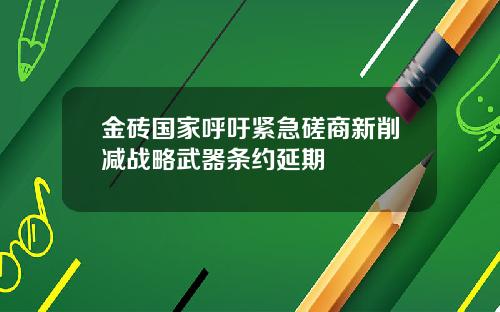 金砖国家呼吁紧急磋商新削减战略武器条约延期