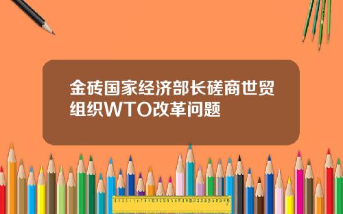金砖国家经济部长磋商世贸组织WTO改革问题