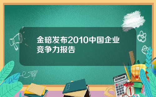 金碚发布2010中国企业竞争力报告