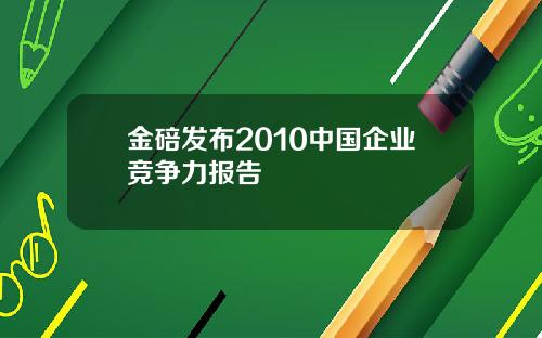 金碚发布2010中国企业竞争力报告