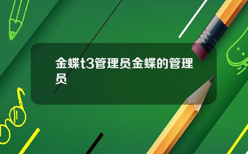 金蝶t3管理员金蝶的管理员