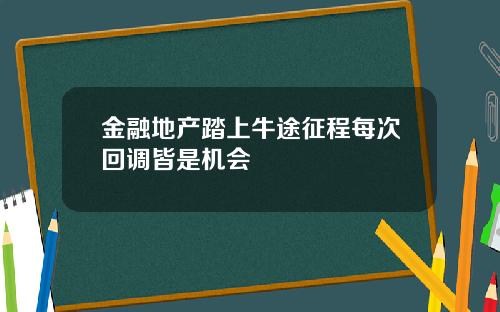 金融地产踏上牛途征程每次回调皆是机会