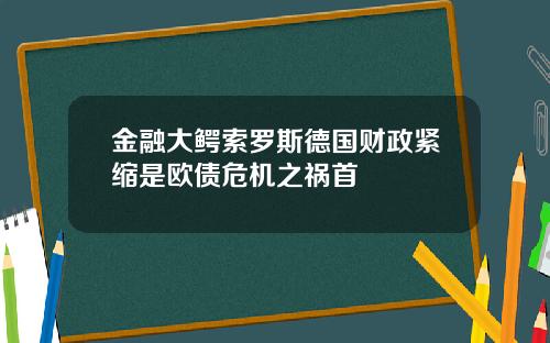 金融大鳄索罗斯德国财政紧缩是欧债危机之祸首