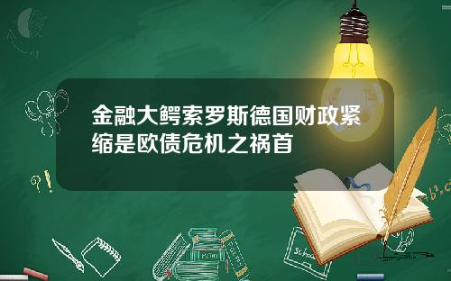 金融大鳄索罗斯德国财政紧缩是欧债危机之祸首