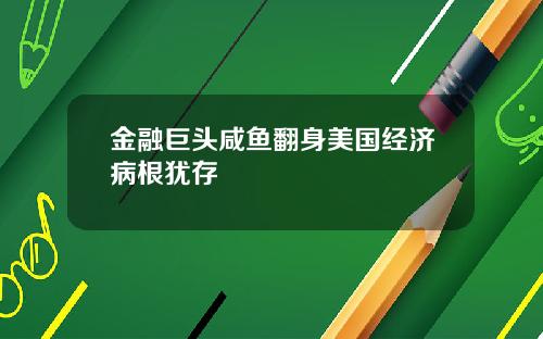 金融巨头咸鱼翻身美国经济病根犹存