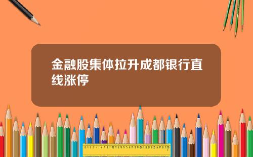金融股集体拉升成都银行直线涨停