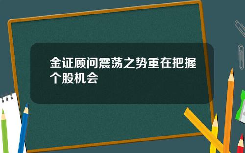金证顾问震荡之势重在把握个股机会