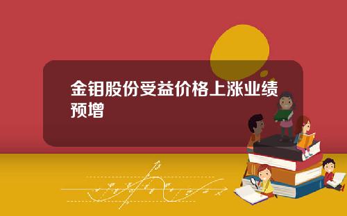 金钼股份受益价格上涨业绩预增