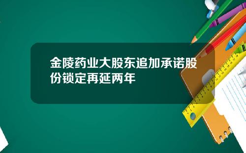 金陵药业大股东追加承诺股份锁定再延两年