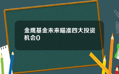 金鹰基金未来瞄准四大投资机会0
