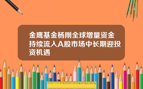 金鹰基金杨刚全球增量资金持续流入A股市场中长期迎投资机遇