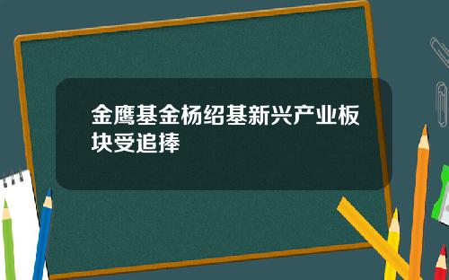 金鹰基金杨绍基新兴产业板块受追捧