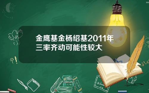 金鹰基金杨绍基2011年三率齐动可能性较大