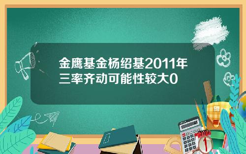 金鹰基金杨绍基2011年三率齐动可能性较大0