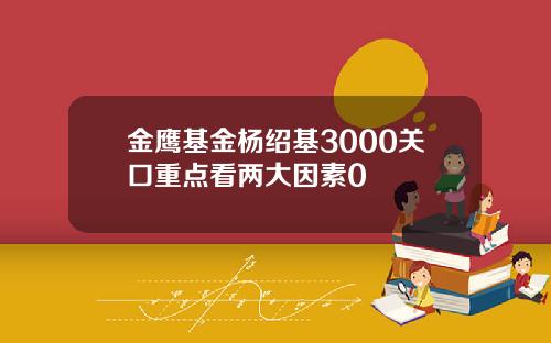 金鹰基金杨绍基3000关口重点看两大因素0