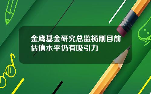 金鹰基金研究总监杨刚目前估值水平仍有吸引力