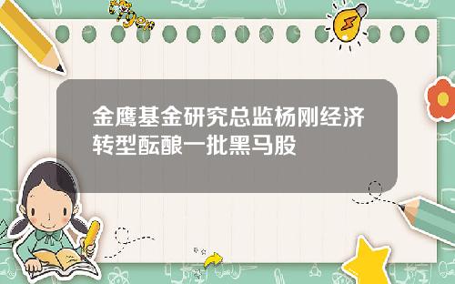 金鹰基金研究总监杨刚经济转型酝酿一批黑马股