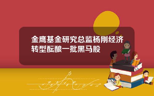 金鹰基金研究总监杨刚经济转型酝酿一批黑马股
