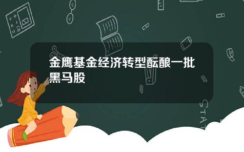 金鹰基金经济转型酝酿一批黑马股