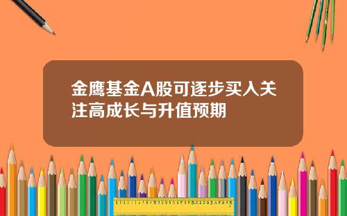 金鹰基金A股可逐步买入关注高成长与升值预期