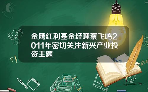 金鹰红利基金经理蔡飞鸣2011年密切关注新兴产业投资主题