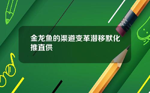 金龙鱼的渠道变革潜移默化推直供