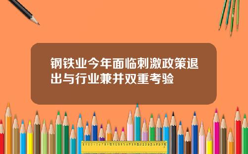 钢铁业今年面临刺激政策退出与行业兼并双重考验