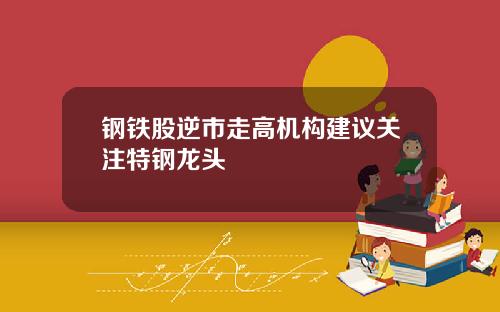 钢铁股逆市走高机构建议关注特钢龙头