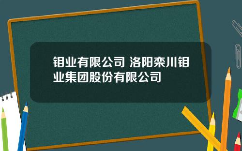 钼业有限公司 洛阳栾川钼业集团股份有限公司