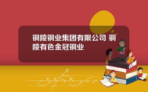 铜陵铜业集团有限公司 铜陵有色金冠铜业