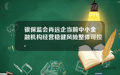 银保监会肖远企当前中小金融机构经营稳健风险整体可控.