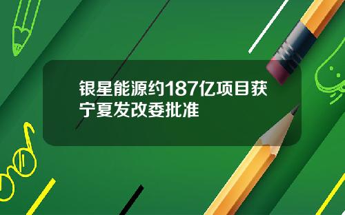 银星能源约187亿项目获宁夏发改委批准