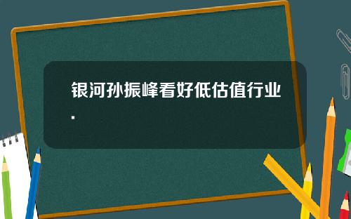 银河孙振峰看好低估值行业.