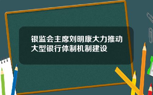 银监会主席刘明康大力推动大型银行体制机制建设