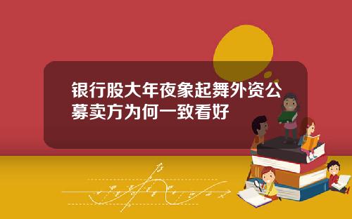 银行股大年夜象起舞外资公募卖方为何一致看好