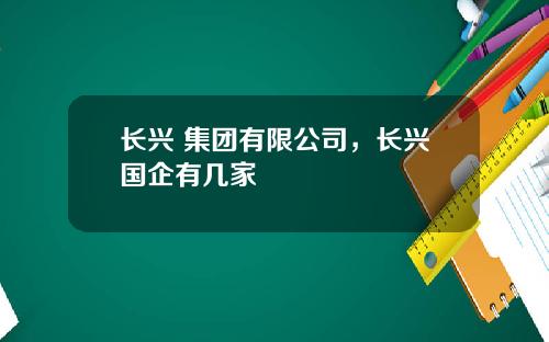 长兴 集团有限公司，长兴国企有几家
