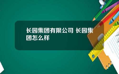 长园集团有限公司 长园集团怎么样