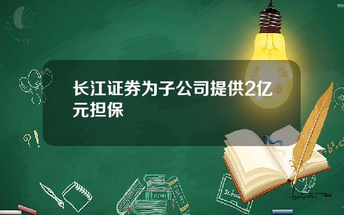 长江证券为子公司提供2亿元担保