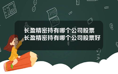 长盈精密持有哪个公司股票长盈精密持有哪个公司股票好