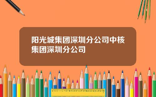 阳光城集团深圳分公司中核集团深圳分公司