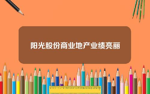阳光股份商业地产业绩亮丽