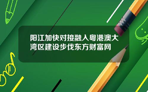 阳江加快对接融入粤港澳大湾区建设步伐东方财富网