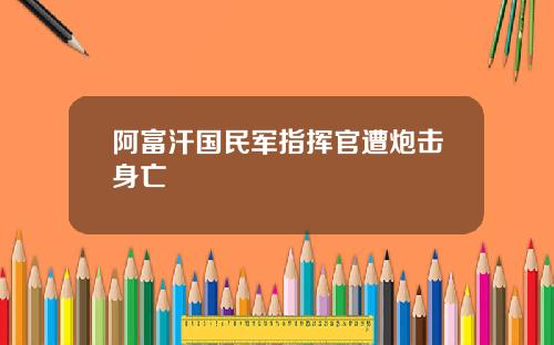阿富汗国民军指挥官遭炮击身亡